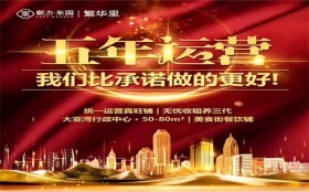 新力開發商怎么樣,襮新力繁華里